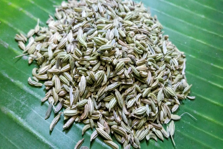 SAFLAX  - Anis - Pimpinella anisum - 200 Samen