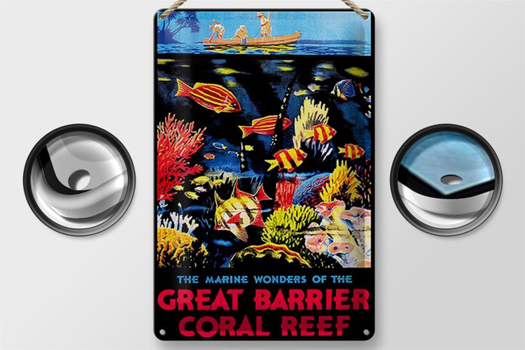 Blechschild Spruch 20x30cm creat barrier coral reef
