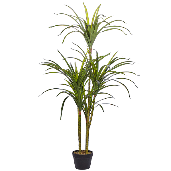 Kunstpflanze DRACAENA ANITA 147 cm Grün