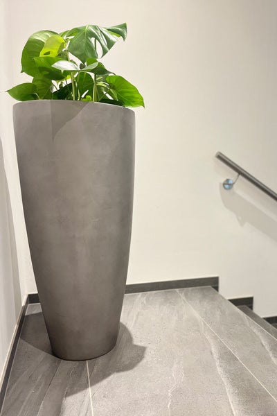 Hoher, konischer Pflanzkübel in Beton-Optik mit einer Monstera-Pflanze auf einem Treppenabsatz mit grauen Fliesen.