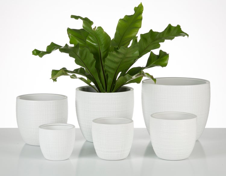 Scheurich Corteza, Blumentopf aus Keramik,  Farbe: Panna, 15,6 cm Durchmesser, 14 cm hoch, 1,9 l Vol.