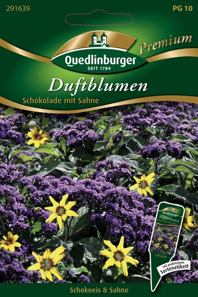 Quedlinburger Saatgut für Duftblumen Schokolade mit Sahne mit Abbildung der blühenden Pflanzen.