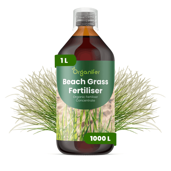 Organifer Strandhaferdünger, organisches Düngerkonzentrat, 1 Liter Flasche, ergibt 1000 Liter.