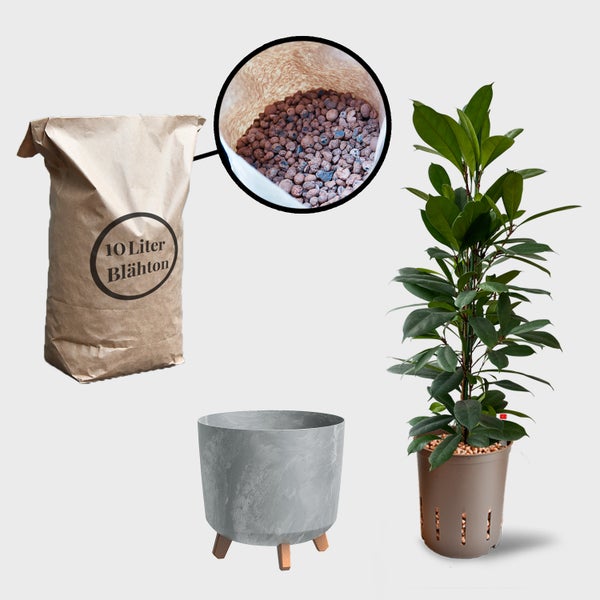 Illustration mit einem Sack Blähton, Blähton in einer Nahaufnahme, einem Topf und einer Zimmerpflanze