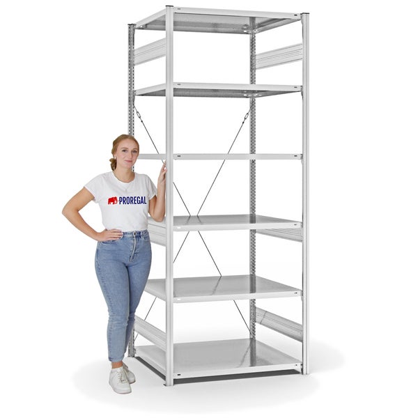 PROREGAL Fachbodenregal Stecksystem T-Profil Heavy-Duty Grundregal HxBxT 250 x 100 x 80 cm 6 Ebenen Fachlast 330 kg Einseitig Nutzbar Lichtgrau