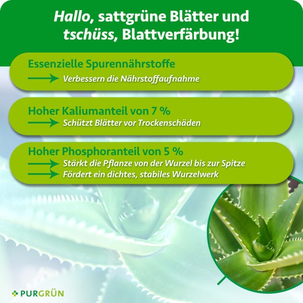 Infografik zeigt Vorteile von Pflanzendünger mit Spurennährstoffen, sieben Prozent Kalium und fünf Prozent Phosphor für eine gesunde Aloe Vera.