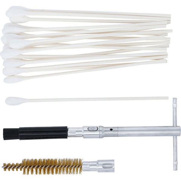 Reinigungsset mit Wattestäbchen und Bürsten