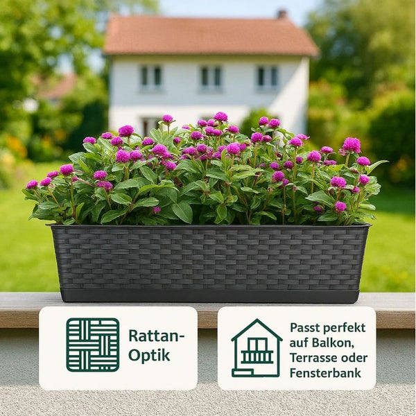 Rechteckiger Blumenkasten in Rattanoptik mit lila Blumen auf Balkon, Terrasse oder Fensterbank