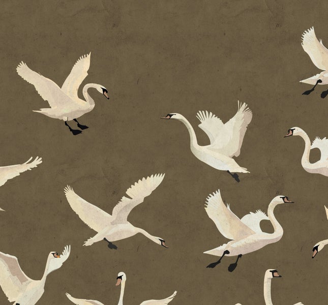 Tapete mit Schwanmuster