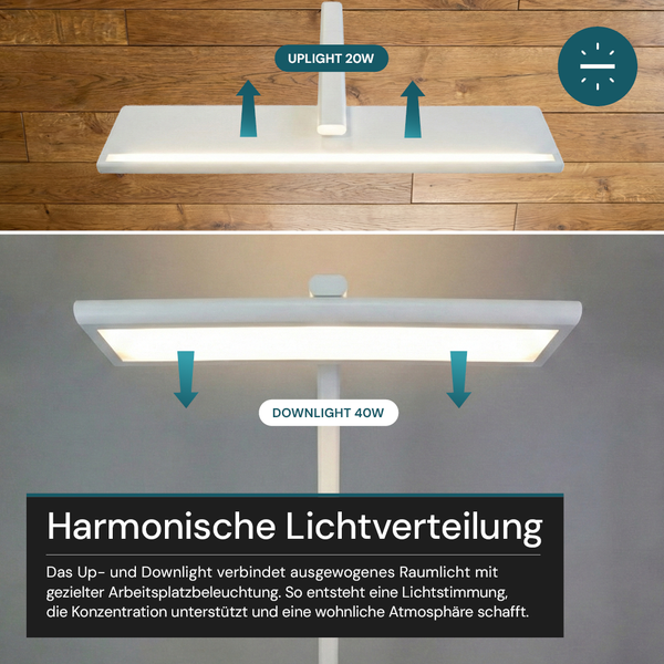 Stehlampe mit kombiniertem Uplight von 20 Watt und Downlight von 40 Watt für harmonische Raumbeleuchtung und gezieltes Arbeitslicht.