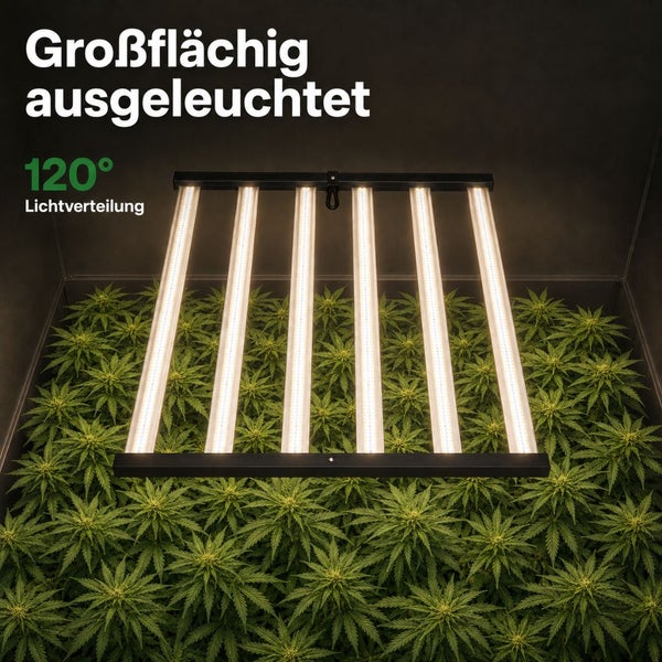 LED Pflanzenlampe mit 6 Lichtleisten über einer Pflanzfläche, 120 Grad Lichtverteilung für großflächige Ausleuchtung.