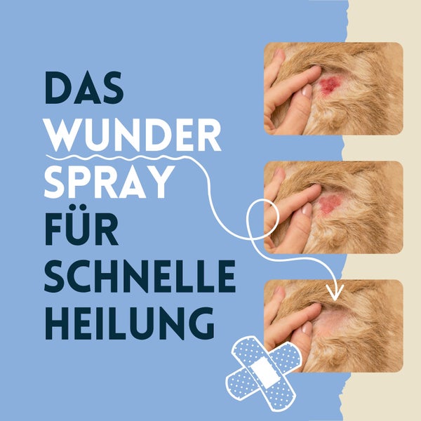 nimo® Haustier Wundspray • mit Aloe Vera und Panthenol zur Wundpflege und -heilung