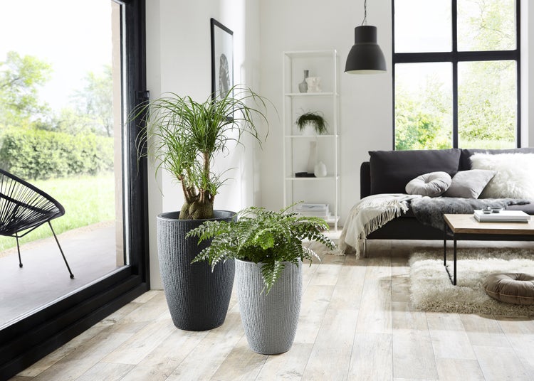 Scheurich Barceo High 40, Hochgefäß/Blumentopf/Pflanzenkübel, rund,  aus Kunststoff Farbe: Stony Grey, 29 cm Durchmesser, 40 cm hoch, 6,5 l Vol.