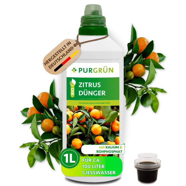Purgrün Logo. Bio Zitrusdünger für Zitruspflanzen, 1 Liter für circa 100 Liter Gießwasser, mit Kalium und Rohphosphat, hergestellt in Deutschland.
