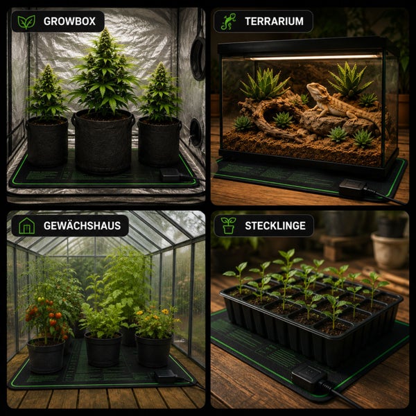 Vier Anwendungsbeispiele für eine elektrische Heizmatte in Growbox Terrarium Gewächshaus und bei der Anzucht von Stecklingen auf einem Tisch.