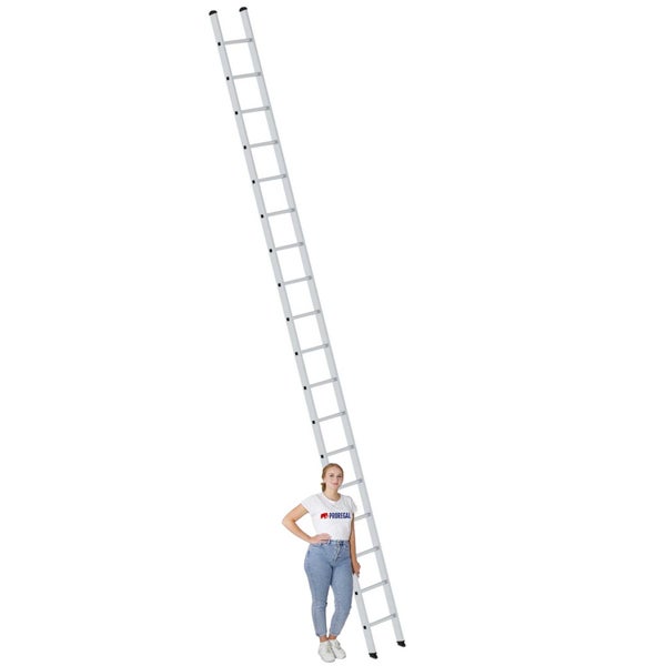 PROREGAL Sprossen-Anlegeleiter 350 mm Breit Ohne Traverse 18 Sprossen