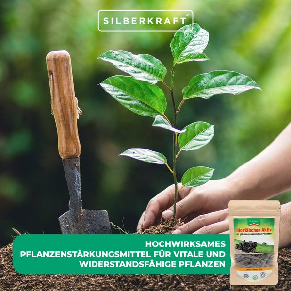Biostäbchen Aktiv – Vitalisierende Pflanzenpflege für gesunde, widerstandsfähige Pflanzen – Mit Schachtelhalm, Rainfarn & Kaffeeextrakt – Für Zimmer-, Balkon- & Gartenpflanzen