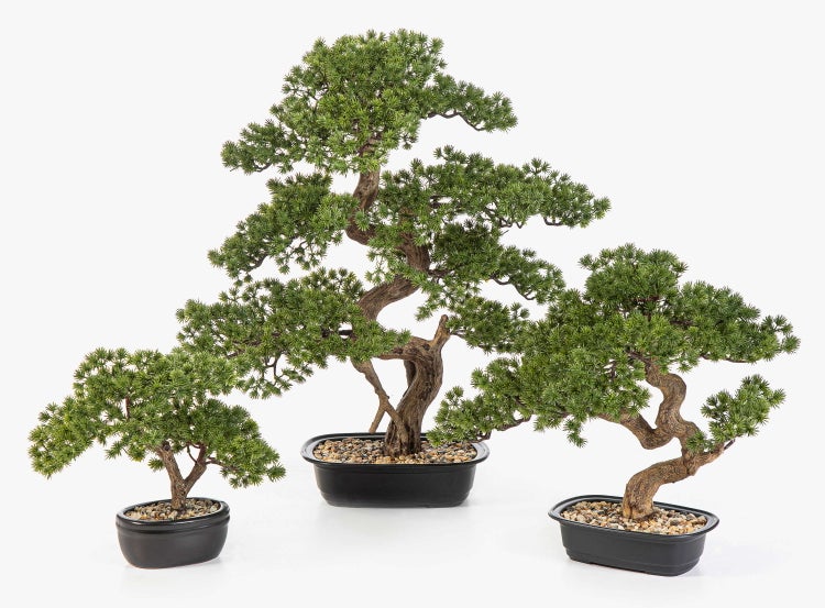Künstlicher Bonsai Baum im 3er Set in verschiedenen Größen in schwarzen Schalen mit Dekosteinen.