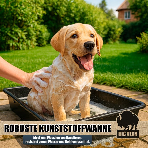 Hund wird in einer robusten, rechteckigen Kunststoffwanne von Big Dean im Garten gewaschen.