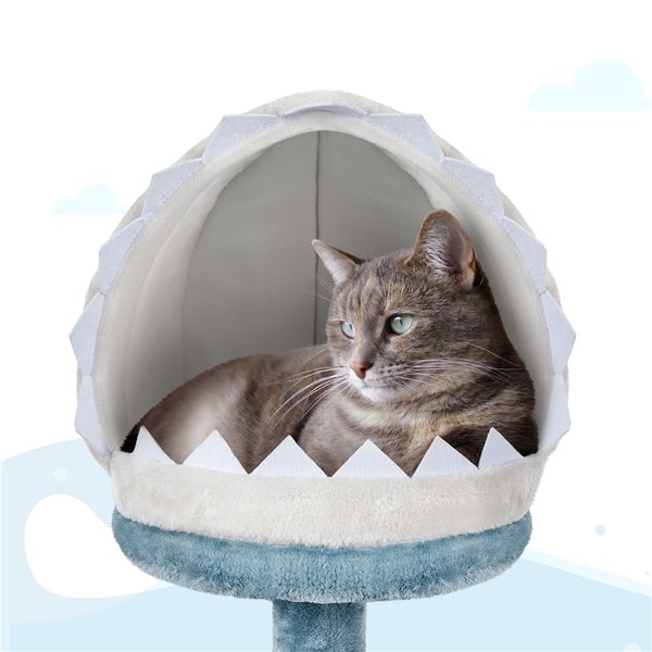 Katze in einem Katzenkratzbaum mit Hai-Motiv