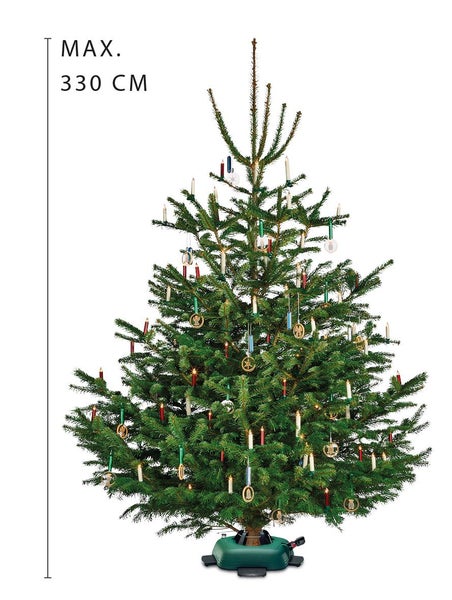 Geschmückter Tannenbaum mit einer maximalen Höhe von 330 Zentimetern.