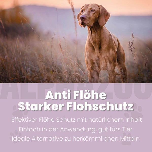 alphazoo ByeByeVloh Flohspray Hunde 250ml