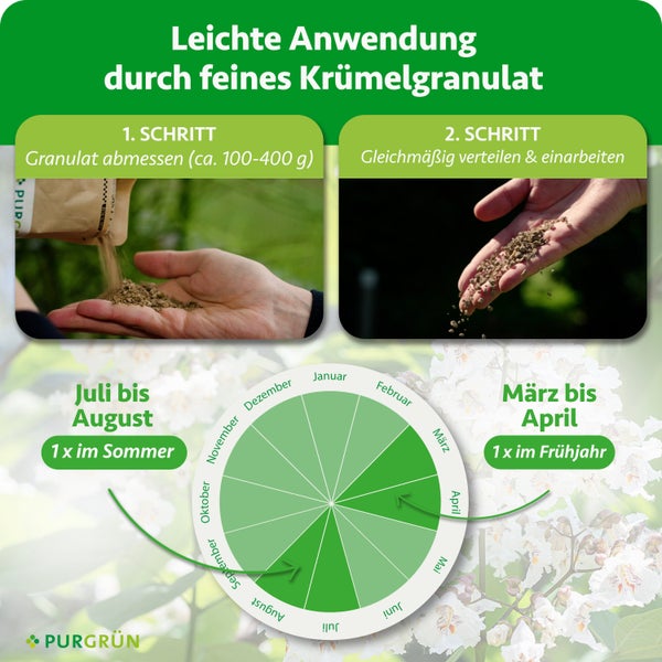 Anleitung Purgrün Dünger: circa 100 bis 400 Gramm abmessen und einarbeiten. Anwendung von März bis April sowie Juli bis August. Purgrün Logo.