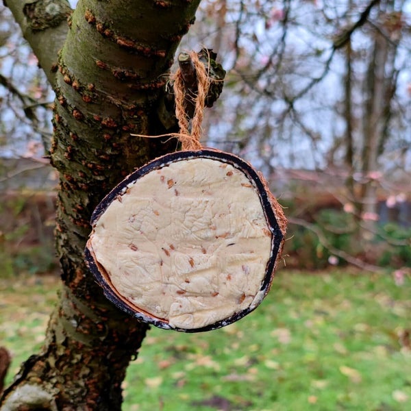 Wildvogelfutter 0.18kg Kokosnuss, Halbe Kokosnuss für Wildvögel