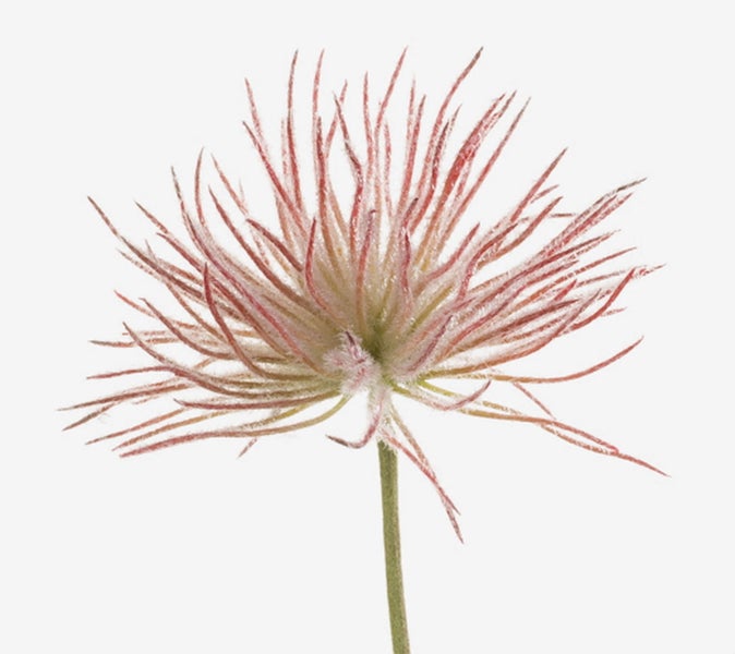 Künstliche Blume mit lachsfarbenen Blüten und grünen Knospen am Stiel.