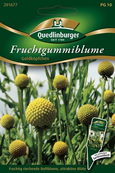 Samentüte für Fruchtgummiblume Goldköpfchen von Quedlinburger mit Abbildung der gelben, kugelförmigen Blüten. Quedlinburger Logo.