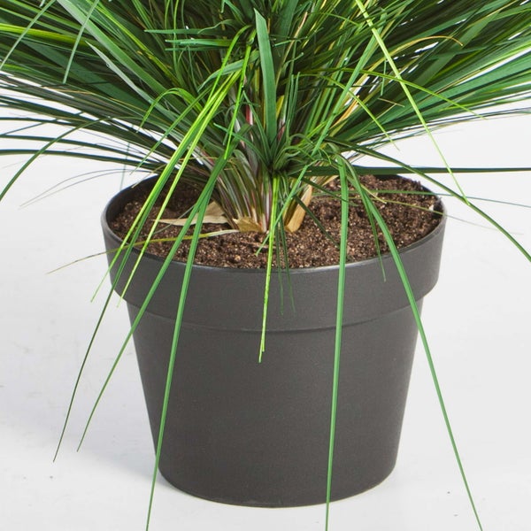 Künstliche Pflanze mit langen grünen Blättern in einem dunklen Kunststofftopf.