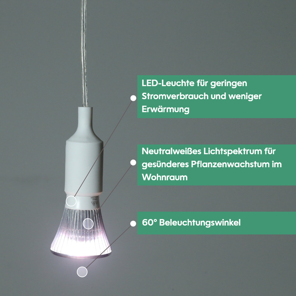 Parus by Venso Growlight 'Indoor plants' LED E27 Pflanzenlampe, Vollspektrum, 6W Pflanzen Lampe für Zimmerpflanzen, Venso Ecosolutions , verbesserte Photosynthese, höhere Chlorophyllbildung, Venso