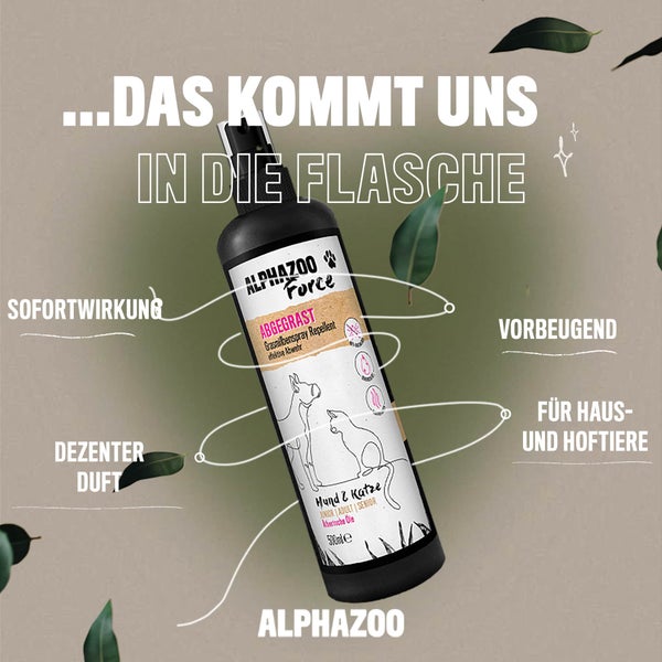 Deckenleuchte aus Holz mit dekorativem Schirm