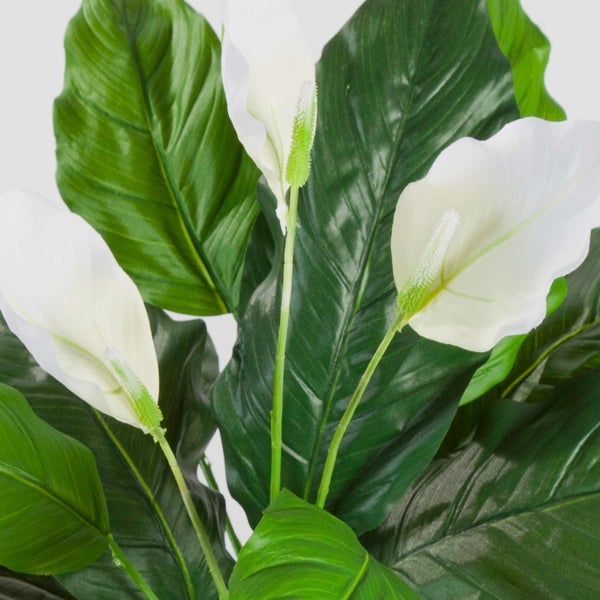 Getrocknete Dekozweige mit kleinen runden Samen für herbstliche Gestecke oder Vasen.