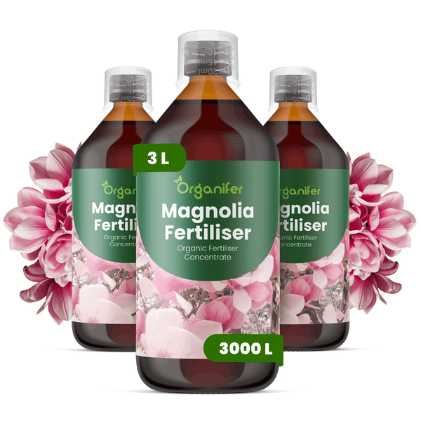 Organifer Clivia-Dünger, organisches Düngerkonzentrat, 1 Liter Flasche für 1000 Liter Gießwasser, mit Messkappe.