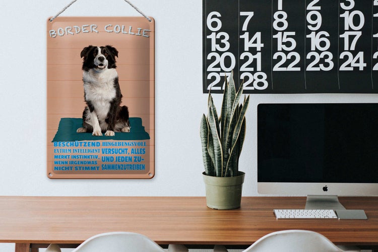 Blechschild Spruch 20x30cm Border Collie Hund intelligent
