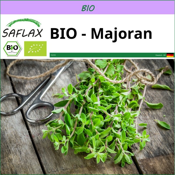 SAFLAX  - BIO - Majoran - Origanum majorana - 700 Samen