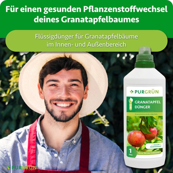 Eine Flasche Purgrün Granatapfeldünger, flüssiger Bio Dünger für Granatapfelbäume für drinnen und draußen, neben einem lächelnden Gärtner.