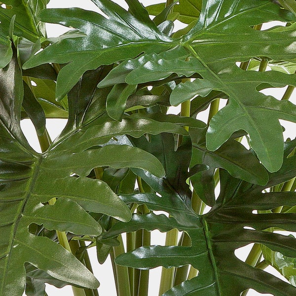 Nahaufnahme von grünen, tief gelappten Blättern einer Kunstpflanze oder eines Philodendrons.