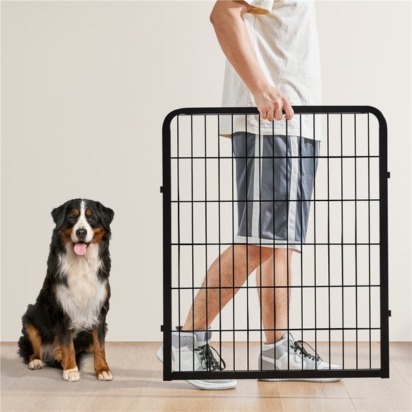 Person hält ein schwarzes Haustiergitter neben einem Hund