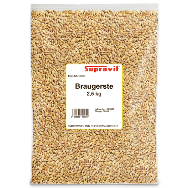 Braugerste 2,5 kg im transparenten Beutel