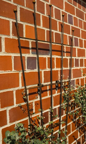 Rankgitter Brindisi Metall 170 cm gefächerte Form unbeschichtet