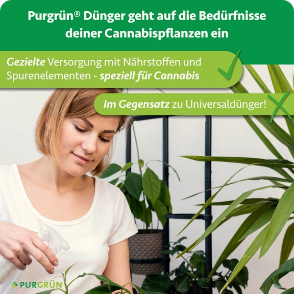 Eine Frau besprüht ihre Pflanzen mit Purgrün Spezialdünger für Cannabispflanzen.