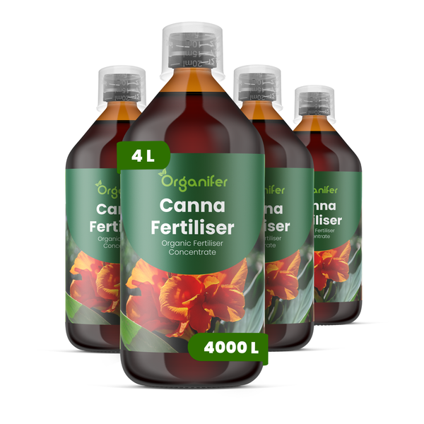 Vier Flaschen Organifer Canna Dünger organisches Konzentrat, vier Liter, ausreichend für viertausend Liter Gießwasser.
