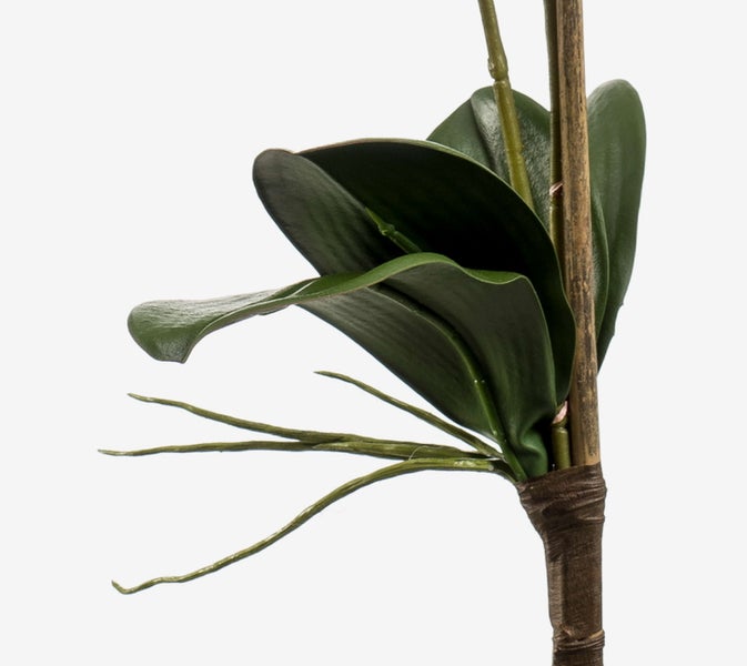Künstliche Orchidee Phalaenopsis in Weiß mit grünen Blättern und einem Stützstab aus Bambus.