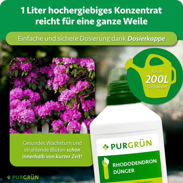 PURGRÜN Rhododendron Dünger Konzentrat 1 Liter für gesundes Wachstum und Blüten mit Dosierkappe für 200 Liter Gießwasser