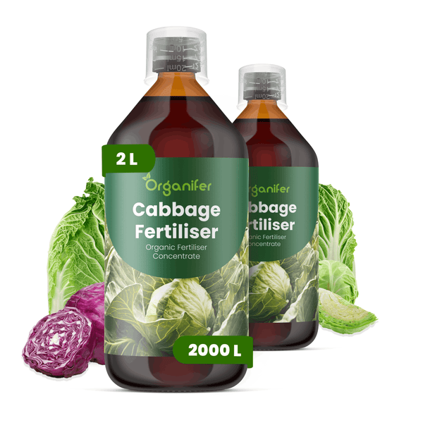 Organifer Kohlendünger, organisches Düngerkonzentrat für Kohl, 2 Liter.