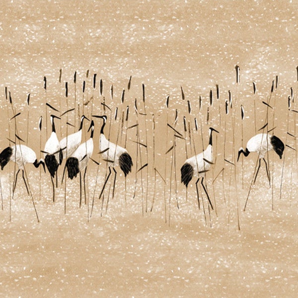 Tapetendesign mit Kranichen und Schilf