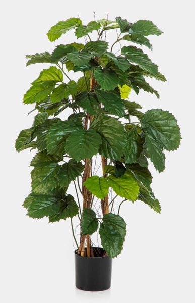 Künstliche Weinrebe mit dichten grünen Blättern in einem schlichten schwarzen Kunststofftopf.