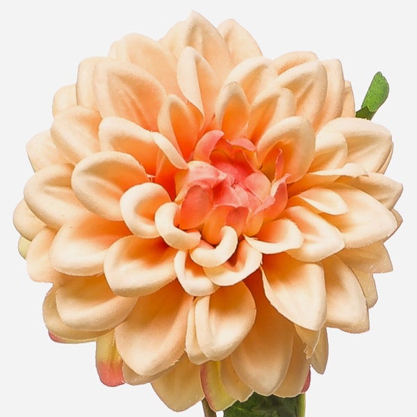 Künstliche Dahlienblüte in Pfirsichfarben mit einem grünen Blatt.
